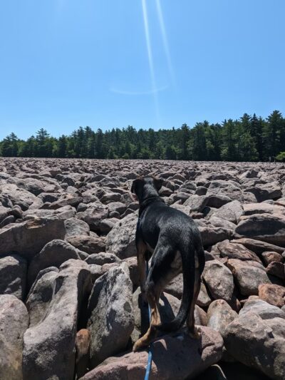 Hickory Run Boulder Field - Lake Harmony, PA