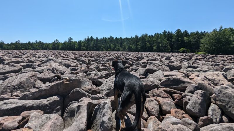 Hickory Run Boulder Field - Lake Harmony, PA