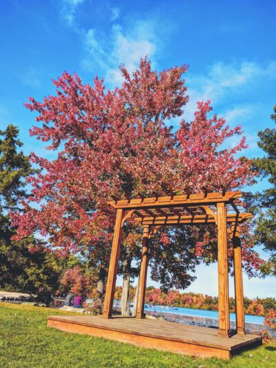 Lake Harmony - Lake Harmony, PA