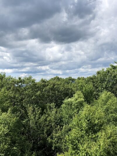 Split Rock - Lake Harmony, PA