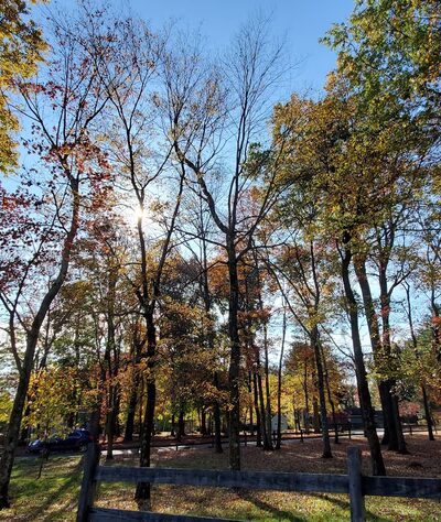 Knoll Park Picnic Area - Lake Hiawatha, NJ