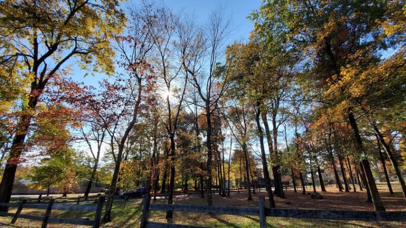 Knoll Park Picnic Area - Lake Hiawatha, NJ