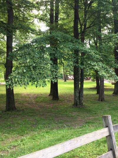 Knoll Park Picnic Area - Lake Hiawatha, NJ