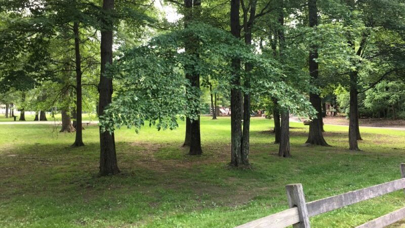 Knoll Park Picnic Area - Lake Hiawatha, NJ