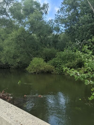 Lake Hiawatha Park - Lake Hiawatha, NJ