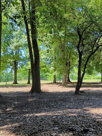 Volunteers Park - Lake Hiawatha, NJ