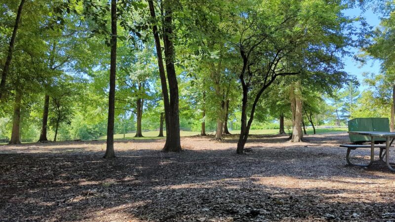 Volunteers Park - Lake Hiawatha, NJ