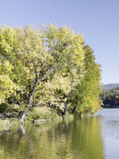 Lake Junaluska - Lake Junaluska, NC