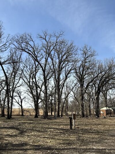 Dahle Park - Lake Mills, IA