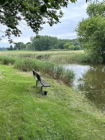 Dahle Park - Lake Mills, IA