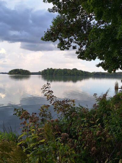 Rice Lake State Park - Lake Mills, IA