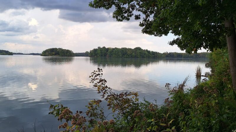 Rice Lake State Park - Lake Mills, IA