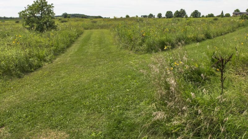 Korth Park - Lake Mills, WI