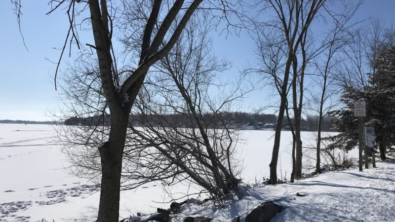 Lower Rock Lake County Park - Lake Mills, WI