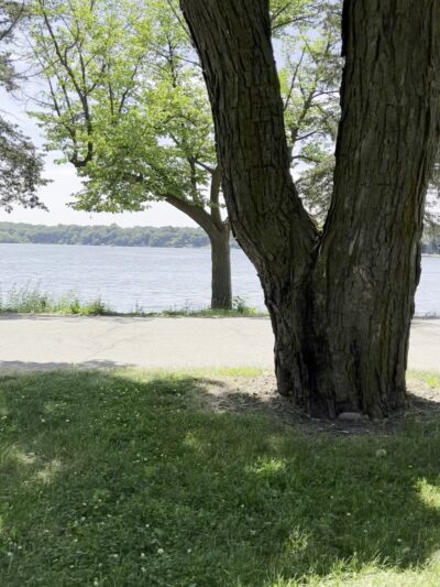 Tyranena Park - Lake Mills, WI