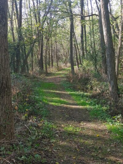 Upper Rock Lake Park - Lake Mills, WI