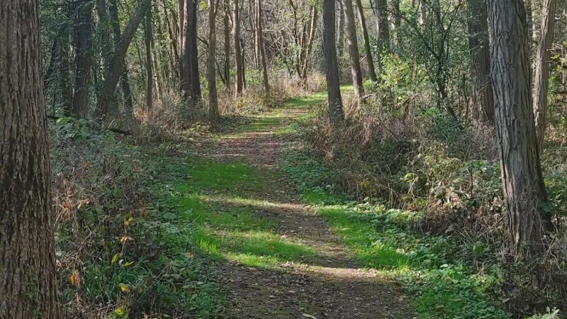 Upper Rock Lake Park - Lake Mills, WI
