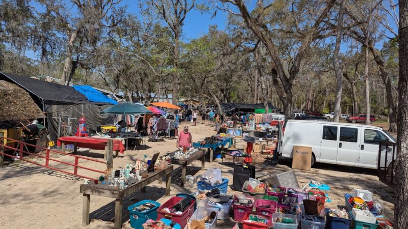 Bargainville Flea Market - Lake Park, GA