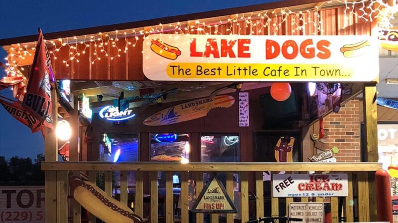 Lake Dogs @ Long Pond - Lake Park, GA