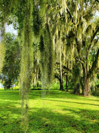 Lake Park - Lake Park, GA