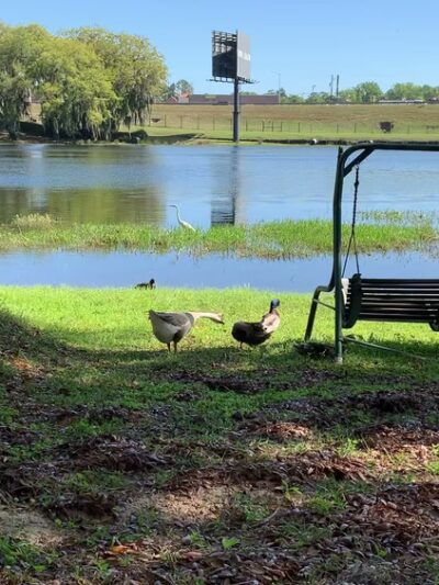 Lake Park RV & Campground - Lake Park, GA