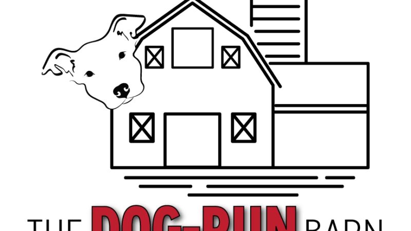 The Dog-Run Barn - Lake Park, MN