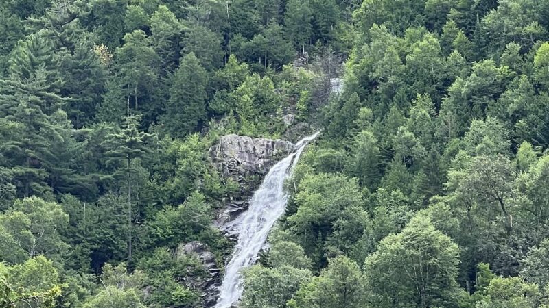 Kiwanis Teddy Bear Park - Lake Placid, NY