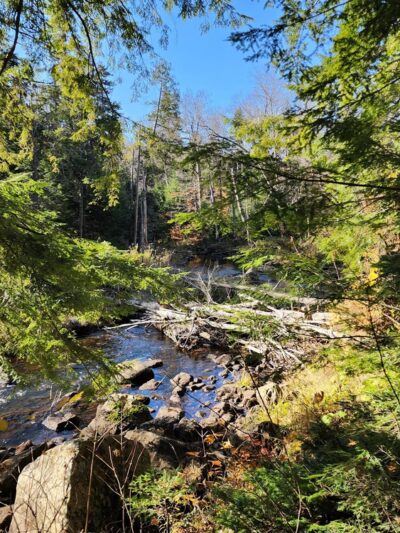 Owen Pond Trail Head - Lake Placid, NY
