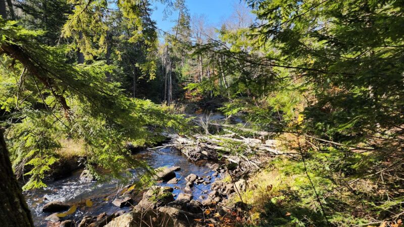 Owen Pond Trail Head - Lake Placid, NY