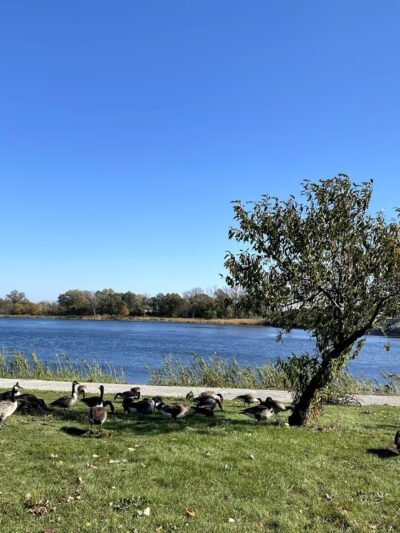 Grand Boulevard Lake Trail - Lake Station, IN