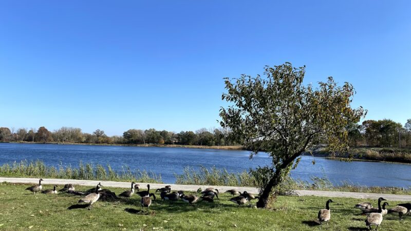Grand Boulevard Lake Trail - Lake Station, IN