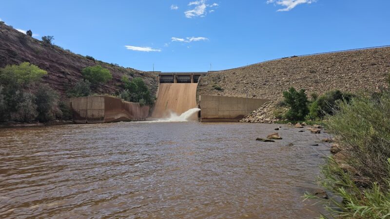 Sumner Lake State Park - Lake Sumner, NM