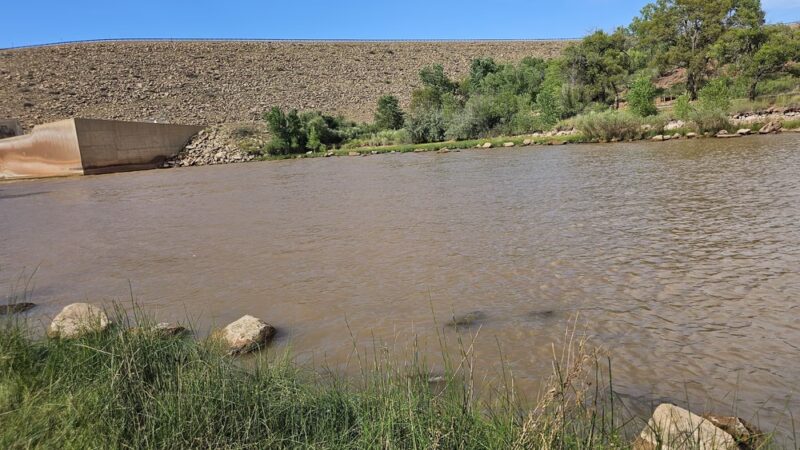 Sumner Lake State Park - Lake Sumner, NM