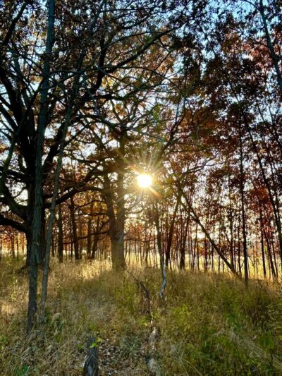 Grant Woods Forest Preserve North - Lake Villa, IL