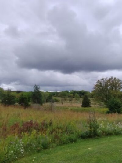Grant Woods Forest Preserve North - Lake Villa, IL