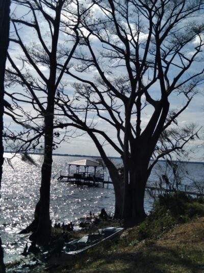 Friends of Waccamaw State Park - Lake Waccamaw, NC