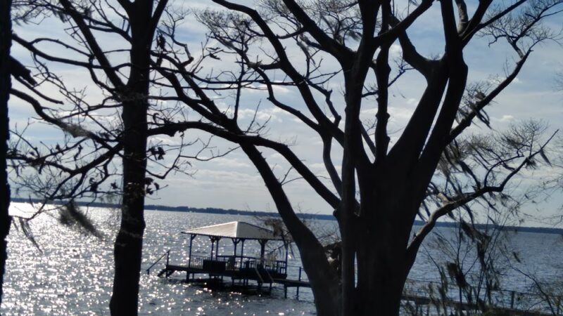 Friends of Waccamaw State Park - Lake Waccamaw, NC