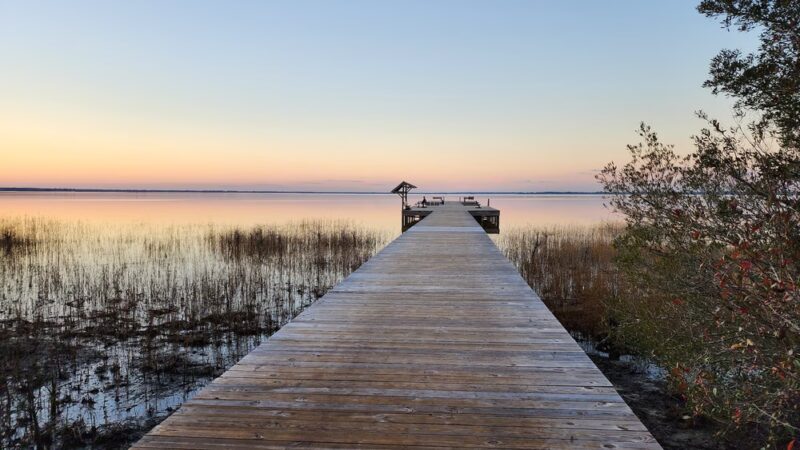 Lake Waccamaw State Park - Lake Waccamaw, NC
