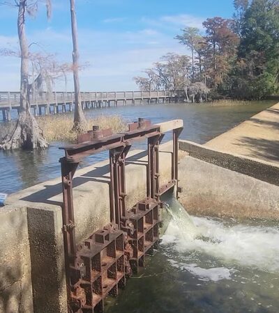 Lake Waccamaw State Park - Lake Waccamaw, NC