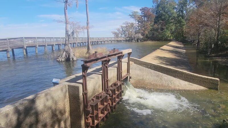 Lake Waccamaw State Park - Lake Waccamaw, NC