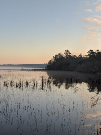 Lake Waccamaw State Park - Lake Waccamaw, NC
