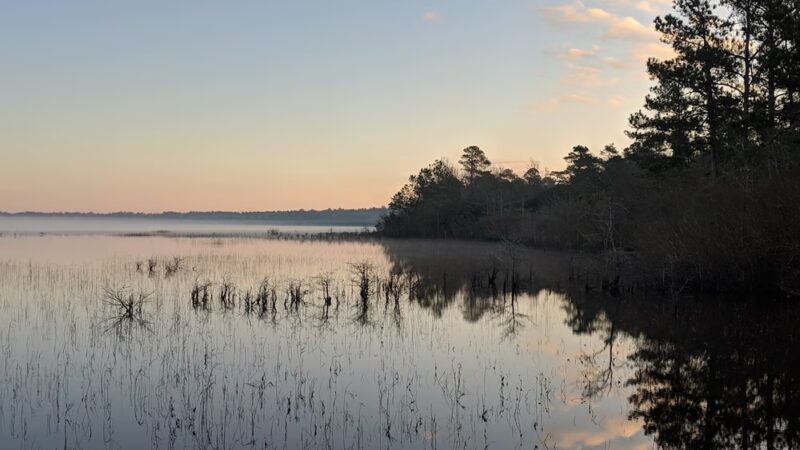 Lake Waccamaw State Park - Lake Waccamaw, NC