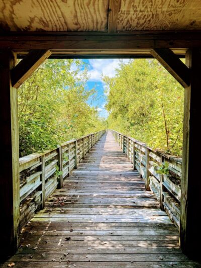 Lake Waccamaw State Park - Lake Waccamaw, NC