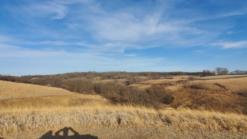 Kilen Woods State Park - Lakefield, MN