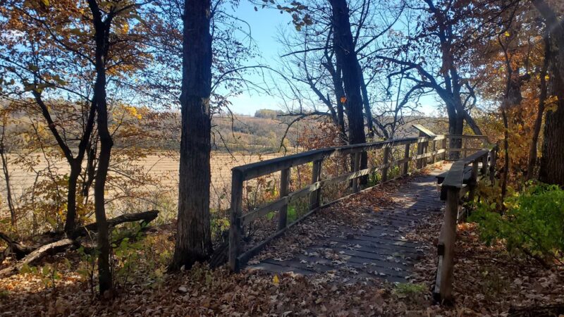 Kilen Woods State Park - Lakefield, MN