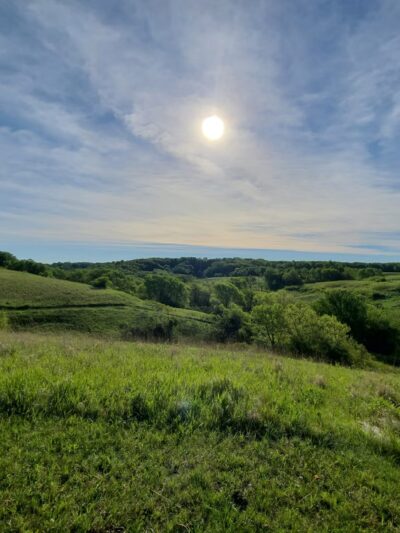 Kilen Woods State Park - Lakefield, MN