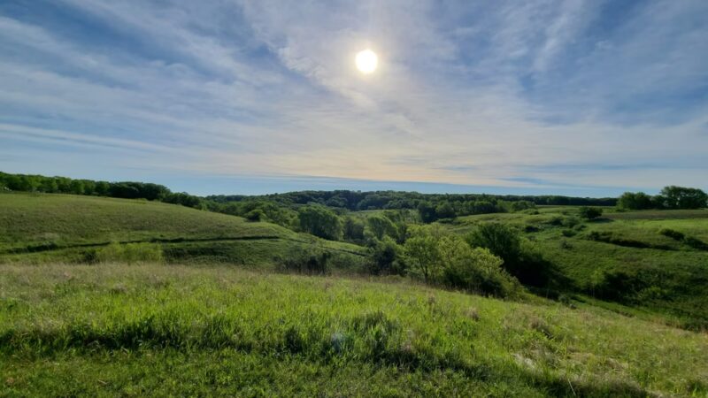 Kilen Woods State Park - Lakefield, MN