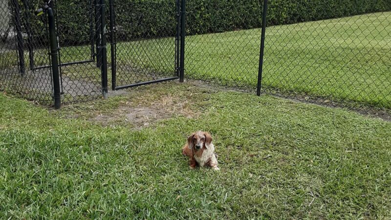Bark Doggy Park - Lakeland, FL
