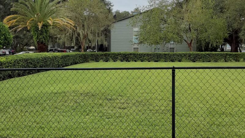 Bark Doggy Park - Lakeland, FL