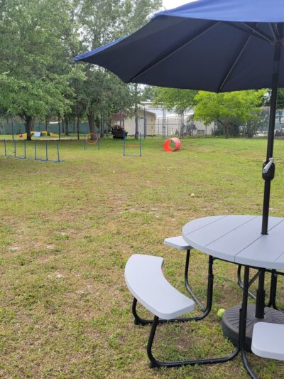 Hollywoof Hills Dog Park - Lakeland, FL